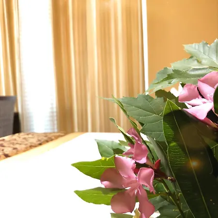 Arifi Otel 4*