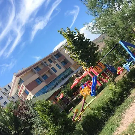 Otel Arifi