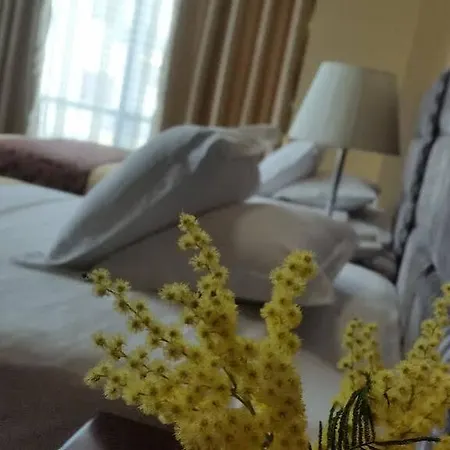 Otel Arifi
